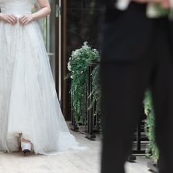 ザ・ガーデンオリエンタル大阪の写真31枚目