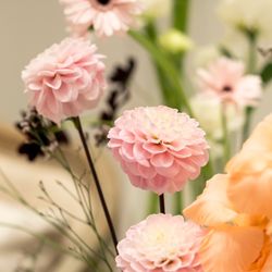 Mia Viaの写真35枚目