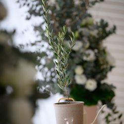 パレスホテル東京の写真25枚目