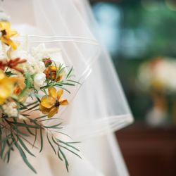 リストランテASOの写真10枚目