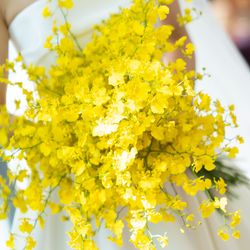 ザ・コンダーハウスの写真5枚目