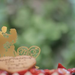 アルタビスタ ガーデンの写真35枚目