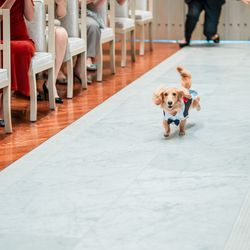 ブルーレマン名古屋の写真28枚目