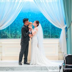 ブルーレマン名古屋の写真26枚目