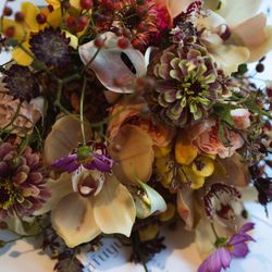 オーベルジュ・ド・リル サッポロの写真1枚目