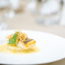 ステラ・デル・アンジェロの写真11枚目