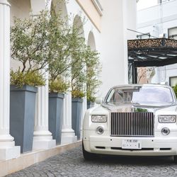 ステラ・デル・アンジェロの写真2枚目