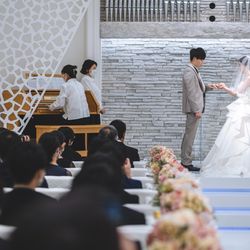 ステラ・デル・アンジェロの写真26枚目