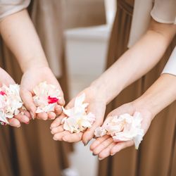 ステラ・デル・アンジェロの写真16枚目