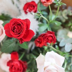 鶴見ノ森 迎賓館の写真23枚目