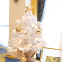 ウェスティンホテル大阪の写真20枚目