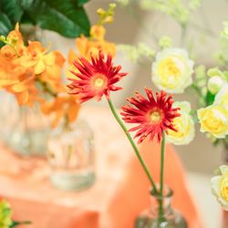 ブルーレマン名古屋の写真22枚目