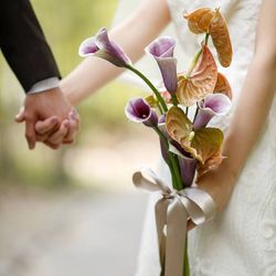 ザ・ガーデンオリエンタル大阪の写真3枚目