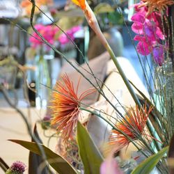 ザ・ガーデンオリエンタル大阪の写真21枚目