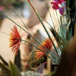 ザ・ガーデンオリエンタル大阪の写真14枚目