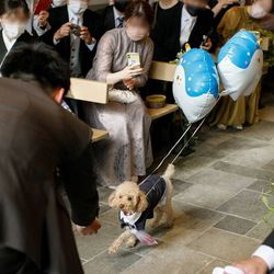 ザ・ガーデンオリエンタル大阪の写真16枚目