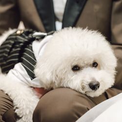 キンプトン新宿東京の写真26枚目