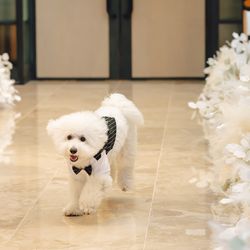 キンプトン新宿東京の写真35枚目