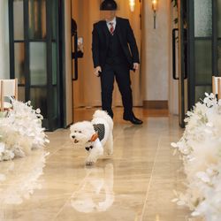 キンプトン新宿東京の写真11枚目