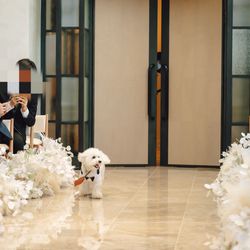 キンプトン新宿東京の写真4枚目