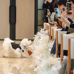 キンプトン新宿東京の写真16枚目