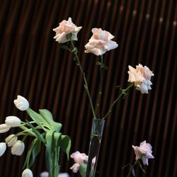 東京會舘の写真15枚目