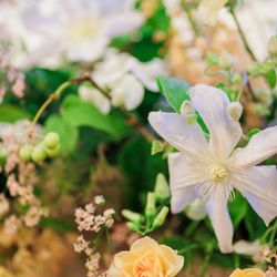 オリエンタルホテル 神戸・旧居留地の写真3枚目