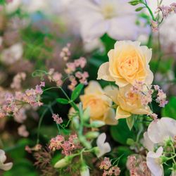 オリエンタルホテル 神戸・旧居留地の写真35枚目
