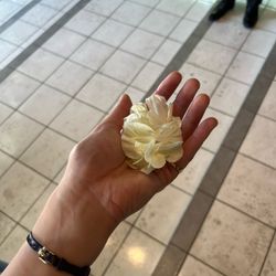 八芳園の写真35枚目