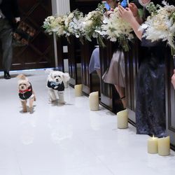 アーカンジェル迎賓館 宇都宮の写真20枚目