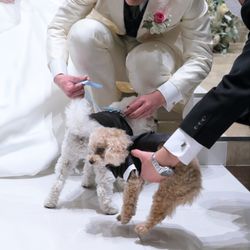 アーカンジェル迎賓館 宇都宮の写真29枚目