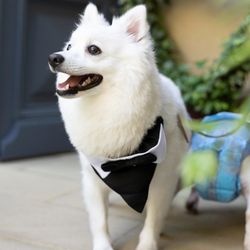 ハートコート横浜の写真9枚目