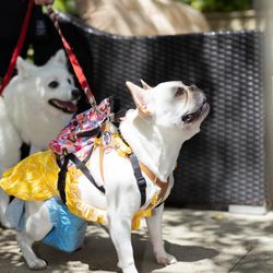 ハートコート横浜の写真34枚目