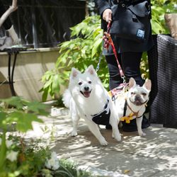 ハートコート横浜の写真3枚目