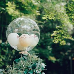 ザ・ガーデンオリエンタル大阪の写真1枚目