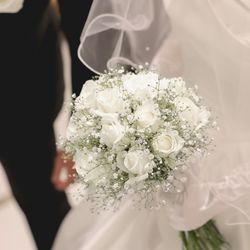 ララシャンス 博多の森の写真14枚目