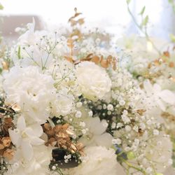 ララシャンス 博多の森の写真30枚目