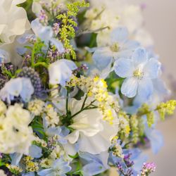 ANAインターコンチネンタルホテル東京の写真16枚目