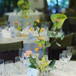 ザ・カワブンナゴヤの写真32枚目