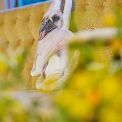 ザ・カワブンナゴヤの写真28枚目