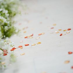 ザ・カワブンナゴヤの写真34枚目