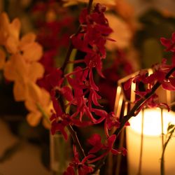  The Okura Tokyoの写真29枚目