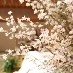 八芳園の写真35枚目