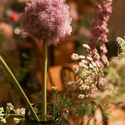 ザ ナンザンハウスの写真14枚目