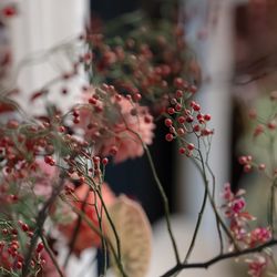 ザ・ガーデンオリエンタル大阪の写真13枚目