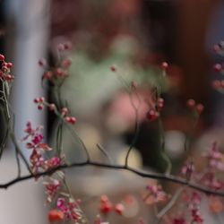 ザ・ガーデンオリエンタル大阪の写真7枚目