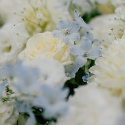 アニヴェルセル 表参道の写真8枚目