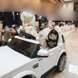 キンプトン新宿東京の写真14枚目