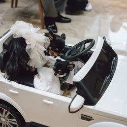 キンプトン新宿東京の写真33枚目