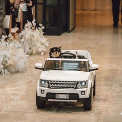 キンプトン新宿東京の写真12枚目